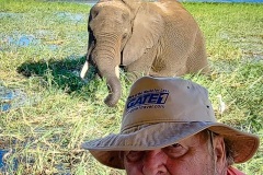 Jim-Himanga-Selfie-with-Grazing-Elephant-Botswana-2