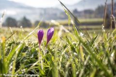 KMuhle-Germany-Sloss-Elmau-201609-x5a8555-1-of-1