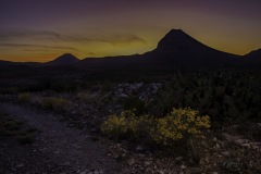 Michelle-Henley-Terlingua-TX-violet-and-yellow-2v